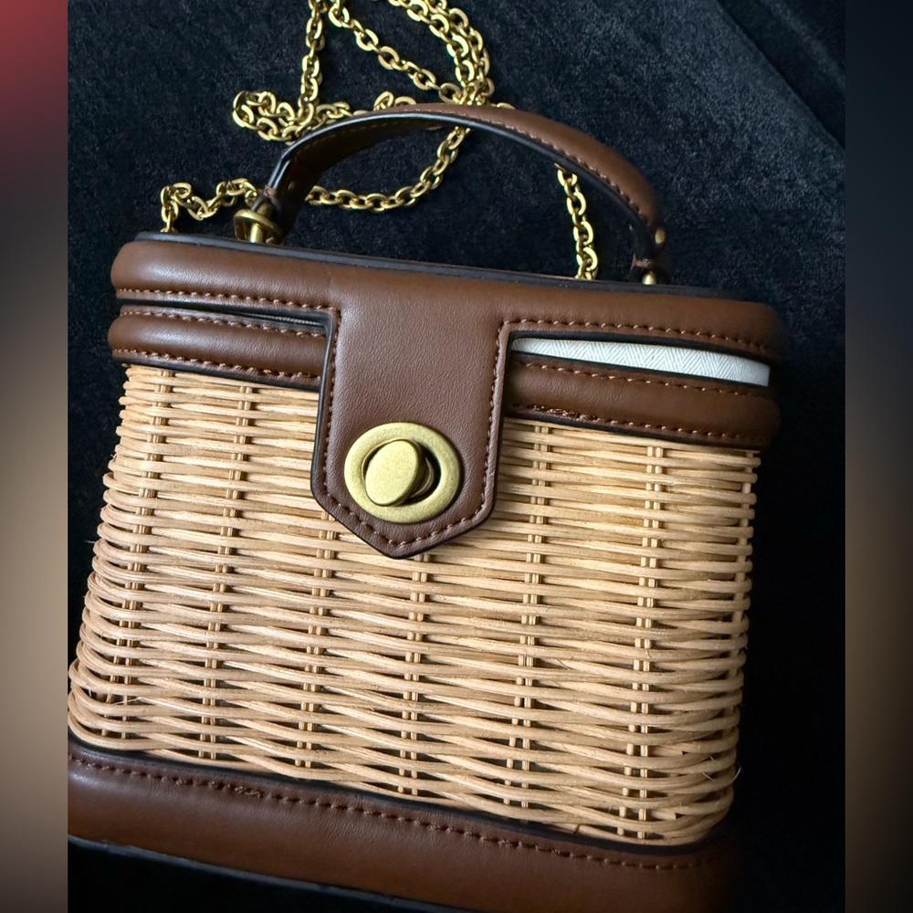 Zara Woven Mini Bag with Gold Chain